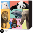 Coffret vide - Les Animaux du monde