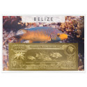 75 Dollars Or Belize 1984 - Poissons (2)