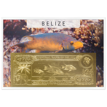 75 Dollars Or Belize 1984 - Poissons (2)