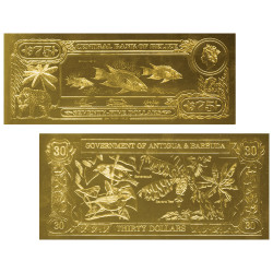 Lot 2 billets Or