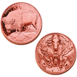Lot 2 x 1 Dollar BU 2026/2027