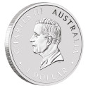 1 Dollar Argent Australie BE 2026 colorisée - Koala (2)