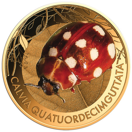3000 Francs CFA Or colorisée - Coccinelle