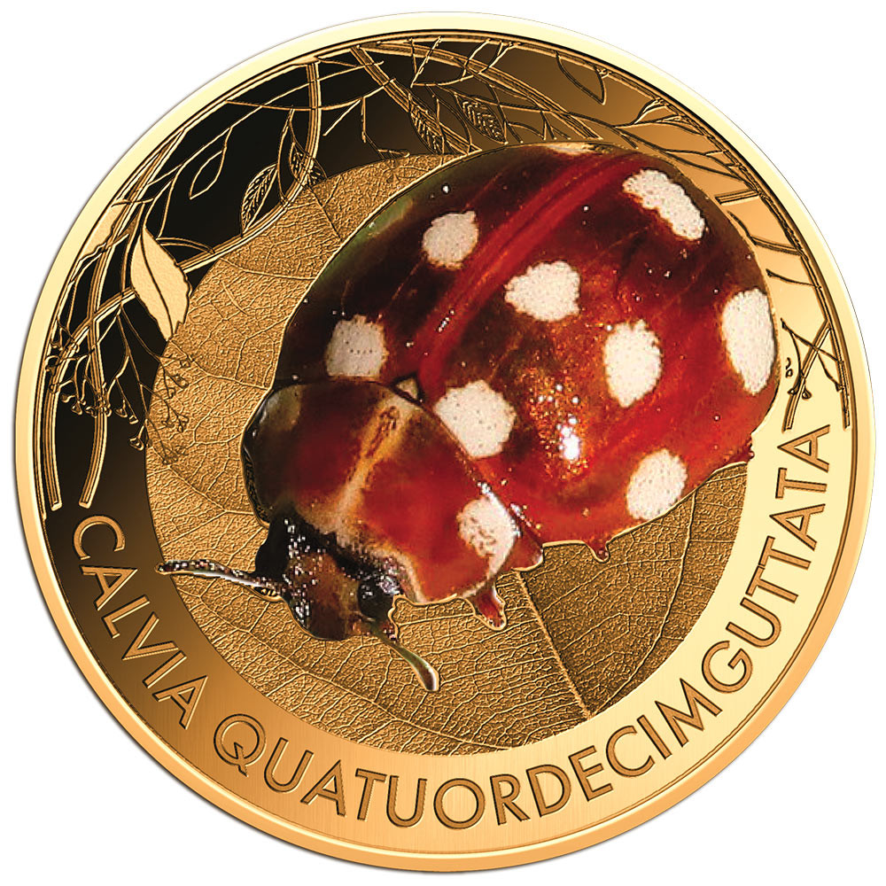 3000 Francs CFA Or colorisée - Coccinelle