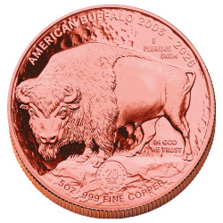 1 Dollar Lakota Sioux  BU 2026 - 20 ans du Buffalo Haut-relief