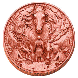 1 Dollar Mesa Grande BU 2027 - Cheval sauvage Haut-relief