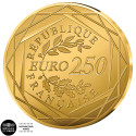 250 Euro Or France BU 2026 - Le drapeau du Gondor (3)