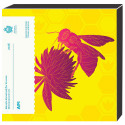 Série Saint-Marin BU 2026 + 5 Euro Argent - Abeilles (2)