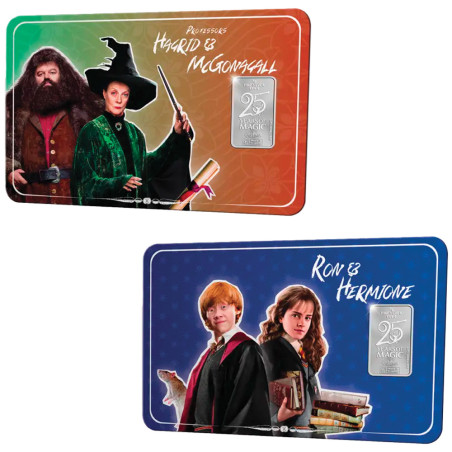 Lot 2 lingots Argent Harry Potter (2)