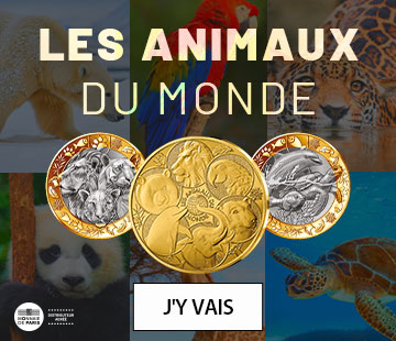 Bannière 2 ligne 2