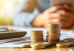 Obtenez une estimation de vos pièces de monnaie en ligne